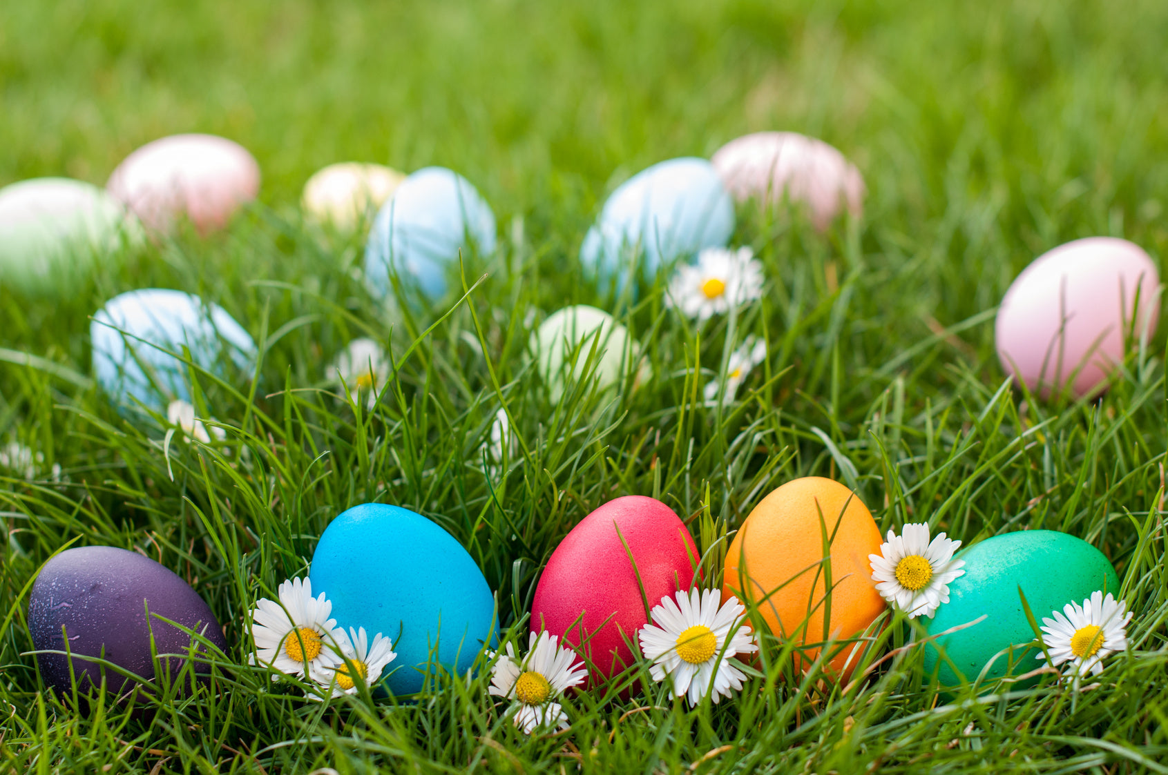 Easter Egg Clues