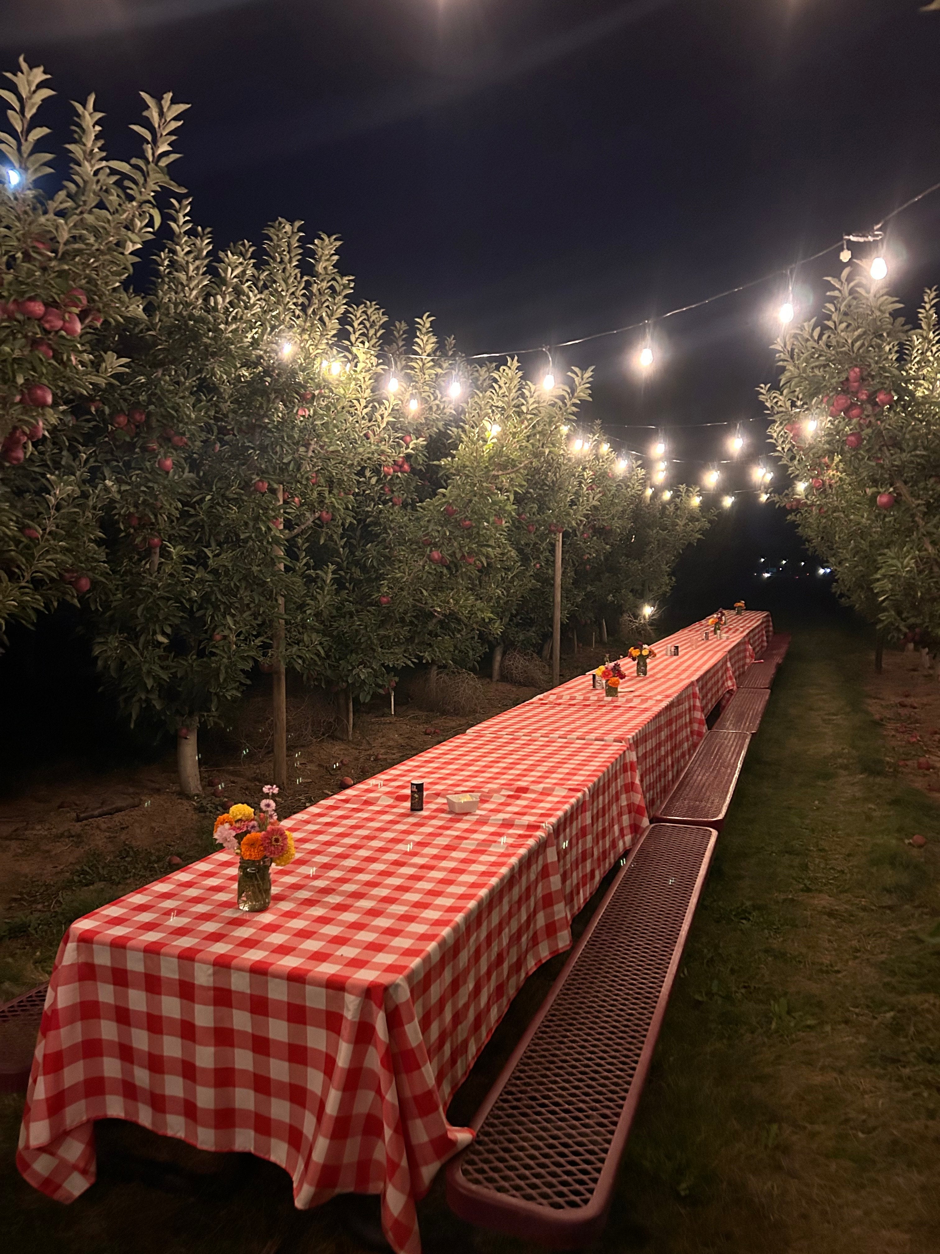 Orchard Dinner