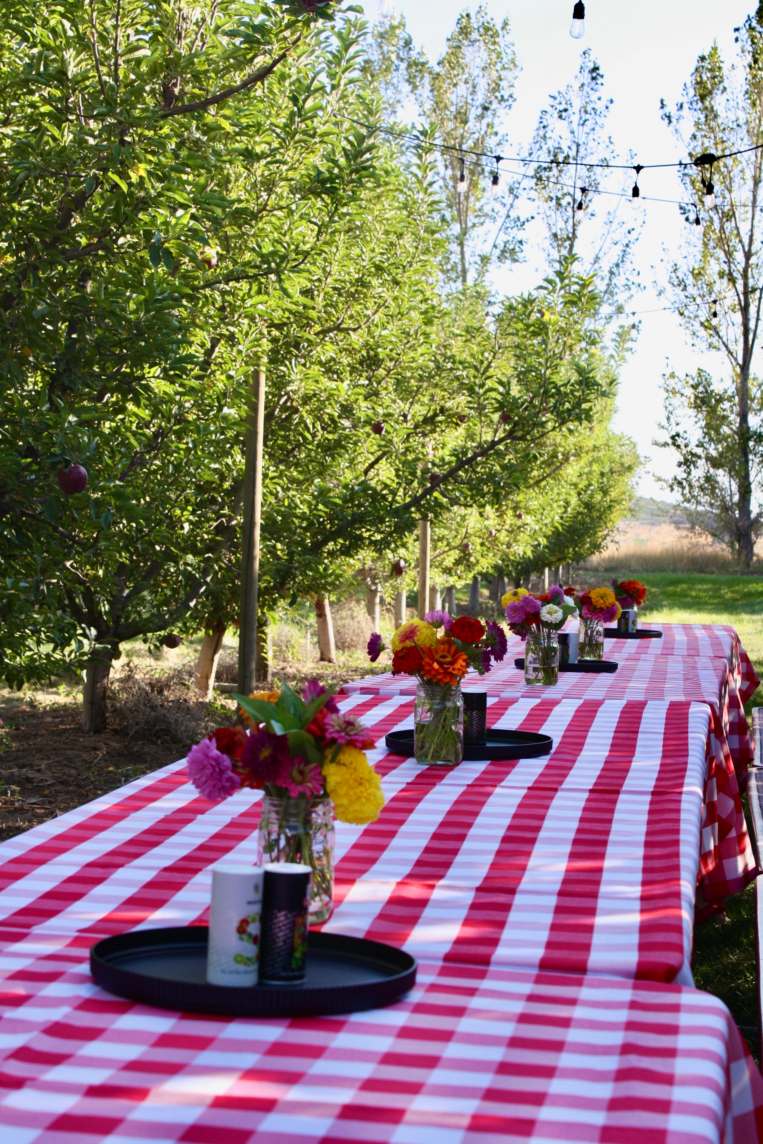 Orchard Dinners