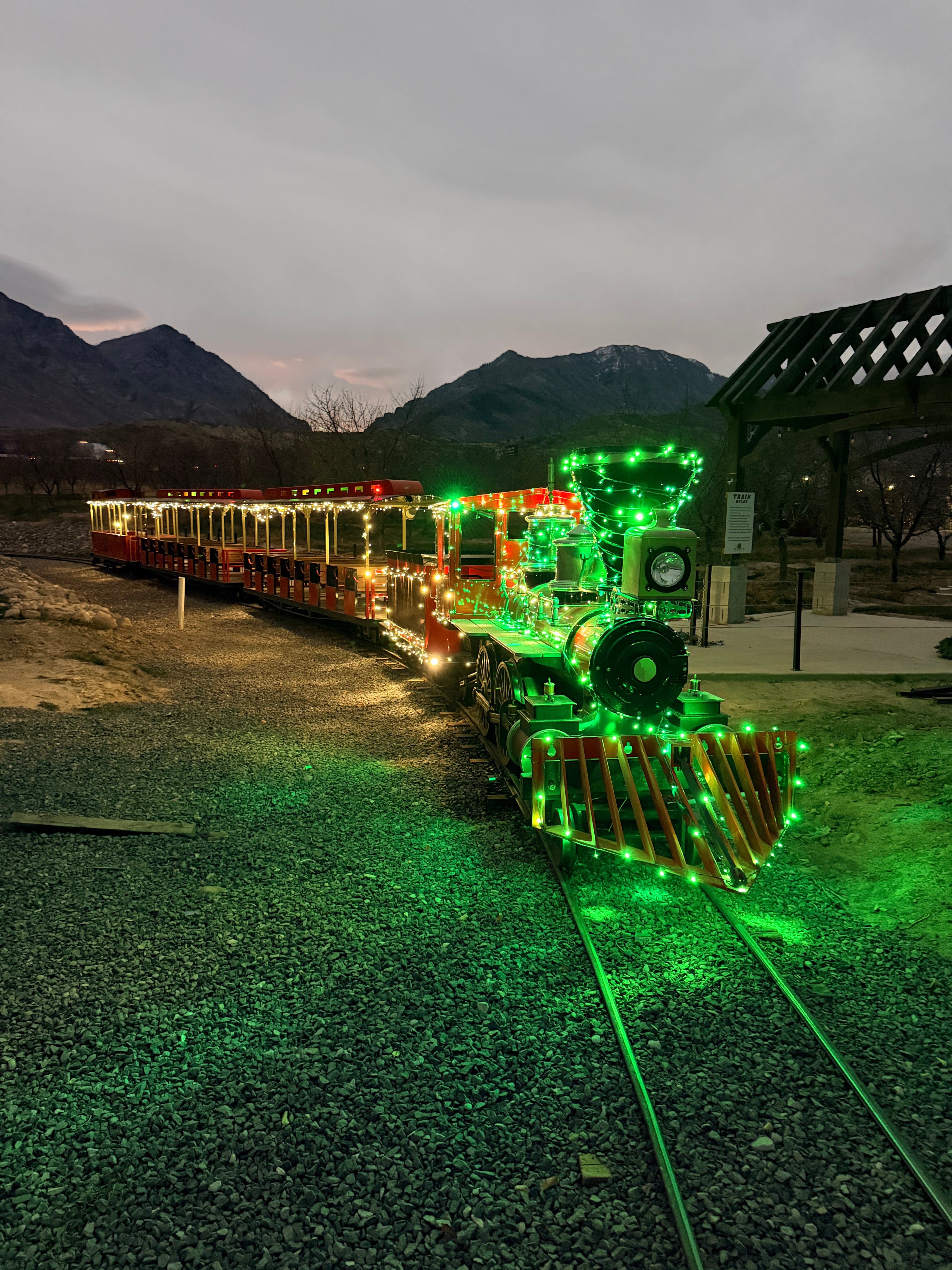 Christmas Train!